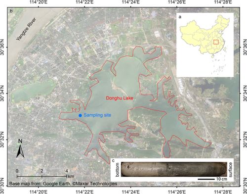 武漢市東湖沉積物中微塑料的快速增長 科學報告 前100亮點文章