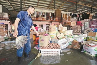 圖文 商戶損失近億 蔬菜供應(yīng)受影響