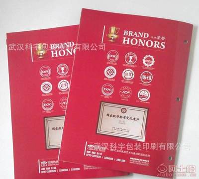 【廠家免費專業(yè)設計印刷企業(yè)宣傳冊、產品畫冊、說明書